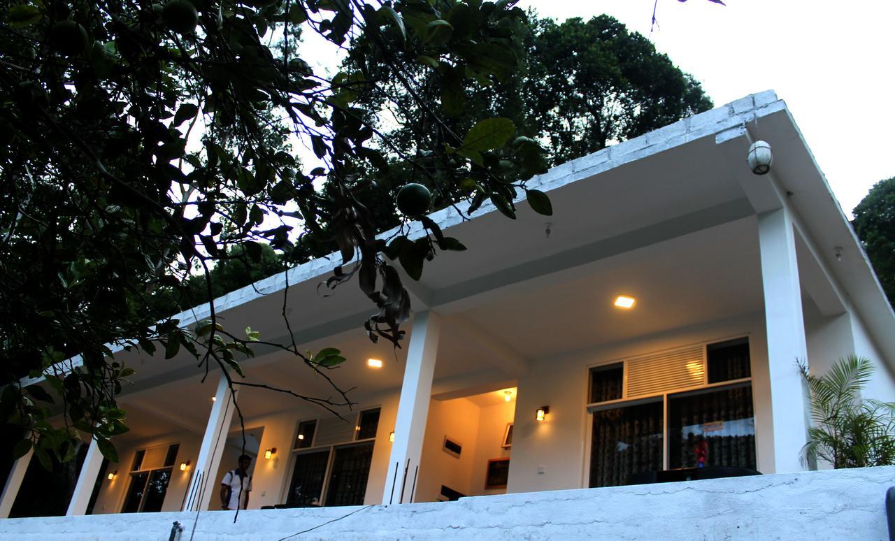 Ella Rock Lands Apartment Luaran gambar
